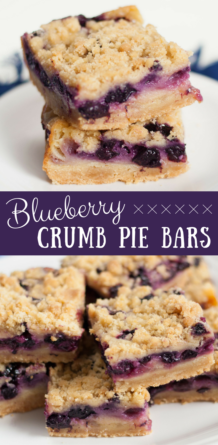 bit-and-bauble-blueberry-crumb-pie-bars-recipe-PIN