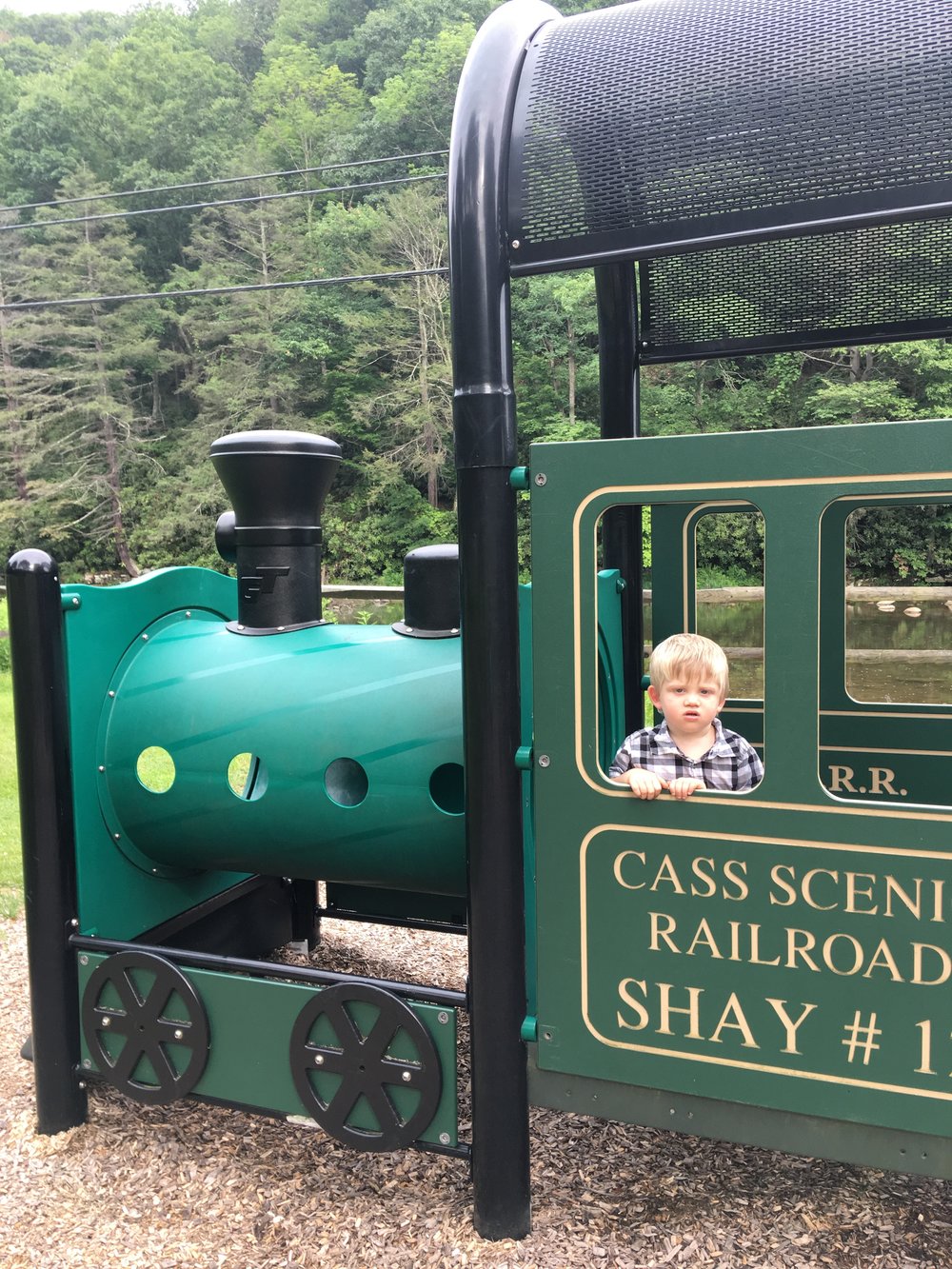  At the Cass Railroad playground. &nbsp;Apparently I'm not the only one who always looks grumpy in pictures.&nbsp; 