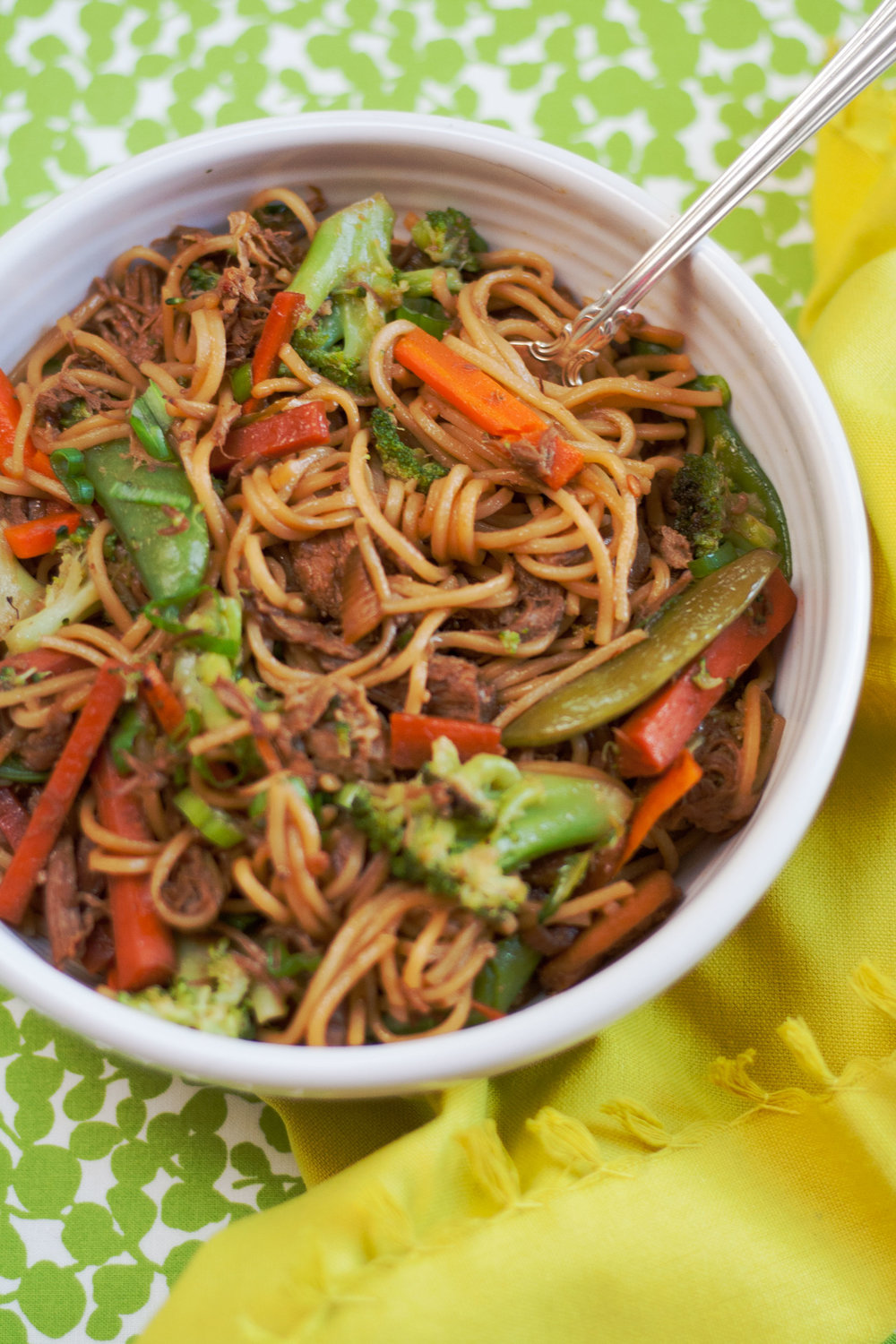 bit-and-bauble-slow-cooker-lo-mein-5