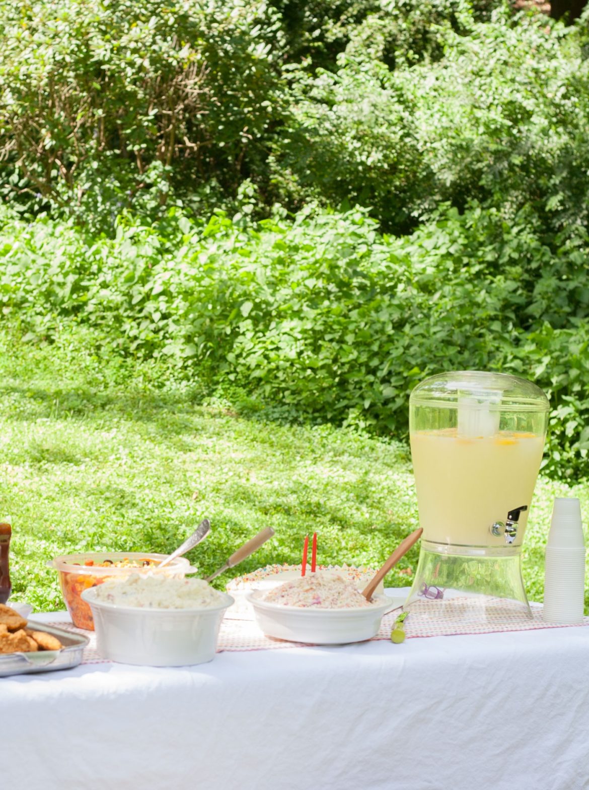 Close Up Of Picnic Party In The Park Drink Table With Large