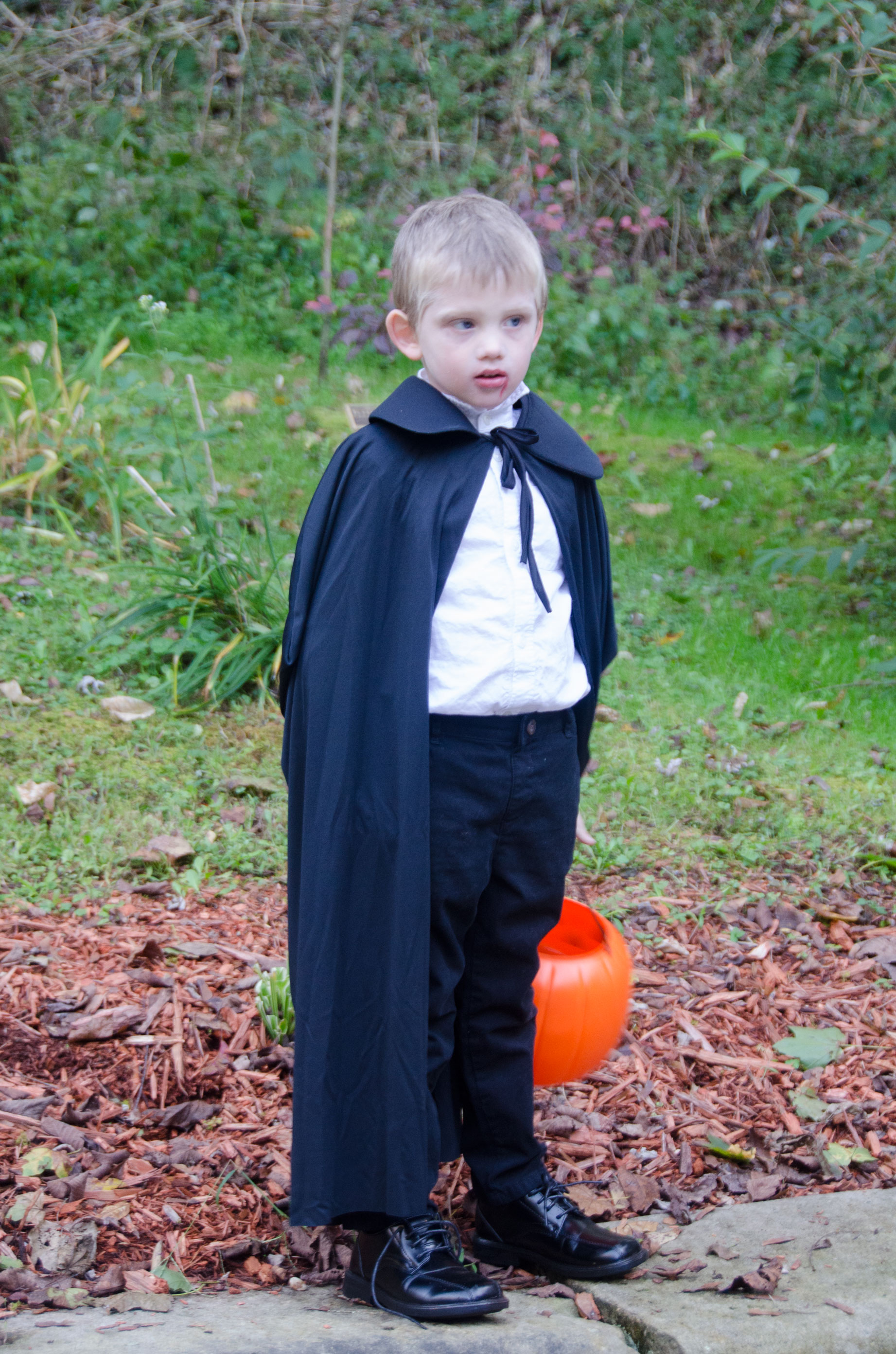 17 Black Cape Costume Ideas for the Whole Family pic picture